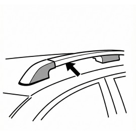 Relingi podwyższone